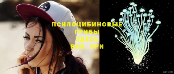 мдпв Липки