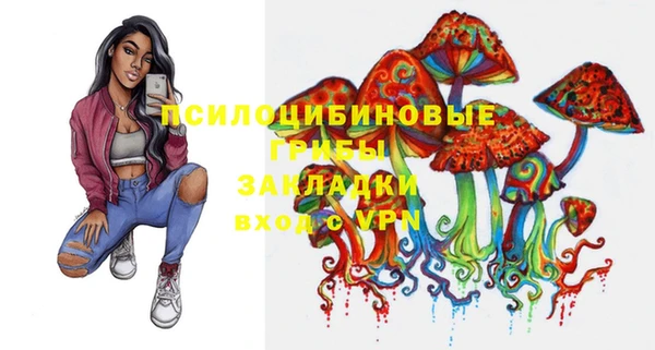 мдпв Липки