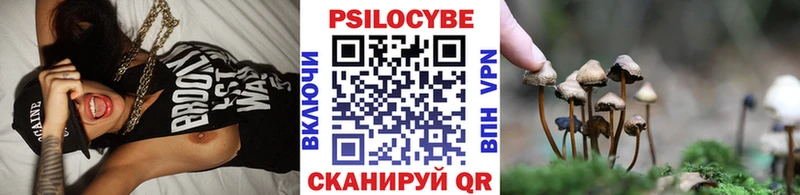 Псилоцибиновые грибы Cubensis  Чаплыгин 