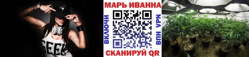 Бошки Шишки сатива  блэк спрут ссылка  Чаплыгин  продажа наркотиков 